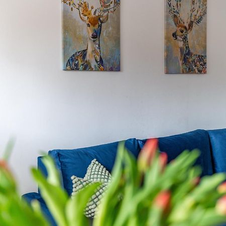 Apartament Lisowski Centrum Zakopane Bagian luar foto